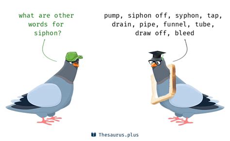 siphon synonym|siphon thesaurus.